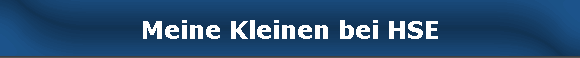 Meine Kleinen bei HSE